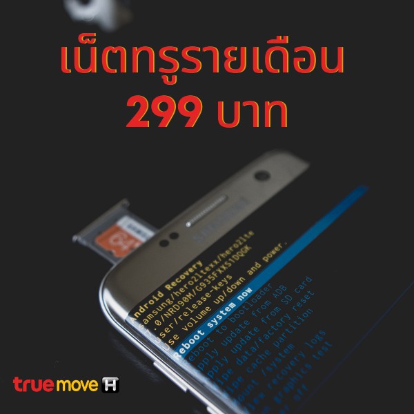 เน็ตทรูรายเดือน 299